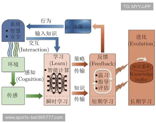 深度分析365bet的赔率设置与奖金机制，帮你做出更明智的投注决策
